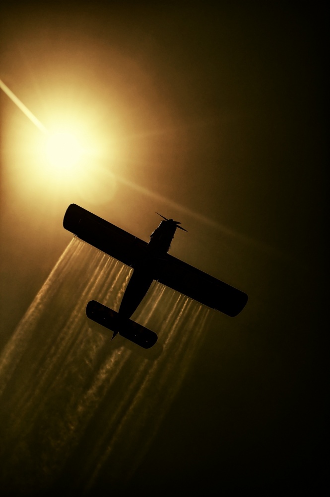 English patient von Ivan Stanimirov