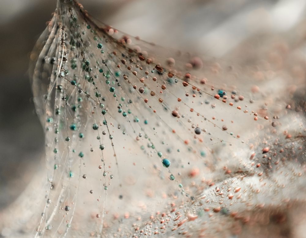 Ohne Titel von Ivelina Blagoeva