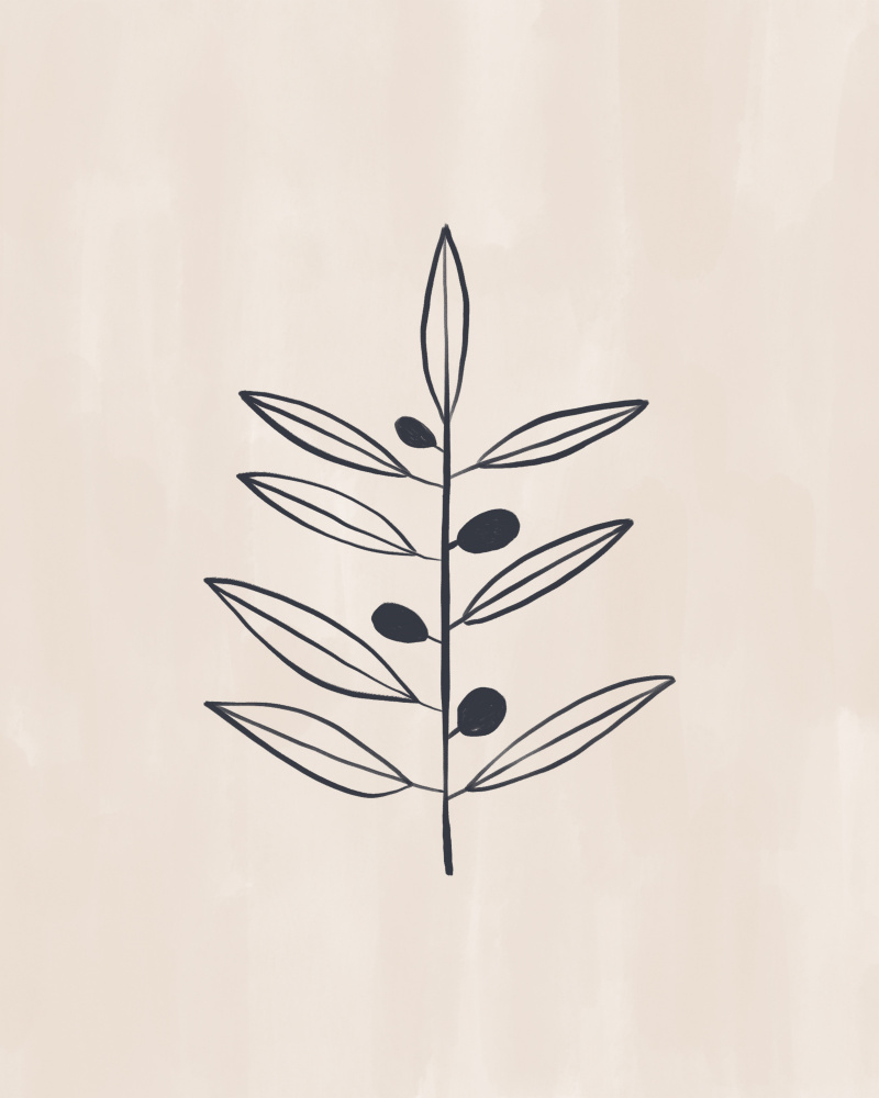 Olive Branche von Ivy Green Illustrations