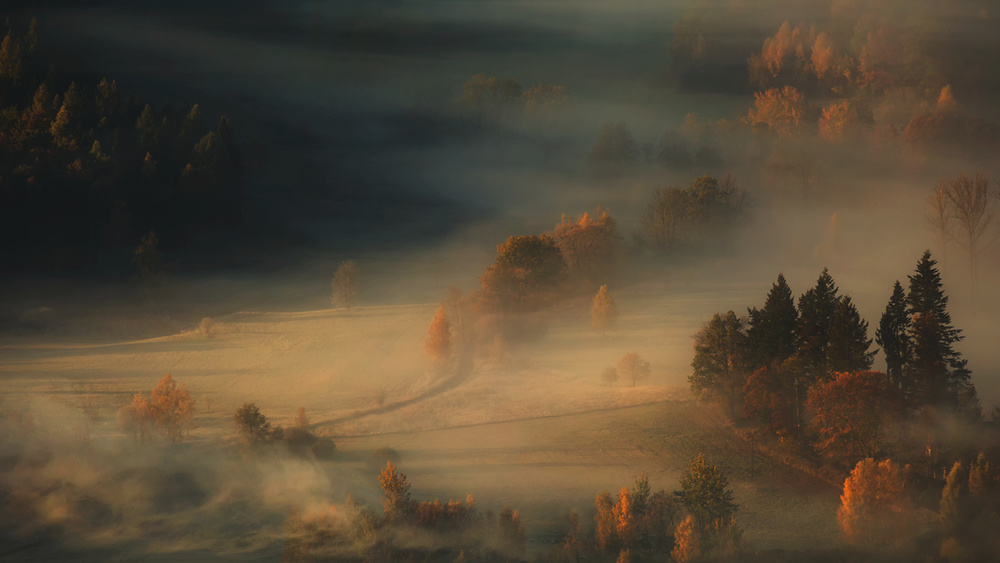 The Last Breath of Autumn von Izabela Laszewska-Mitrega/Darek Mitrega