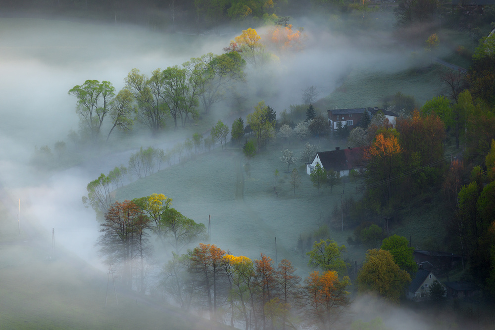 untitledl von Izabela Laszewska-Mitrega/Darek Mitrega