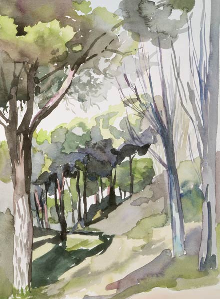 No.55 Puerto de Hierro Club, Madrid, Spain (w/c)  von Izabella  Godlewska de Aranda