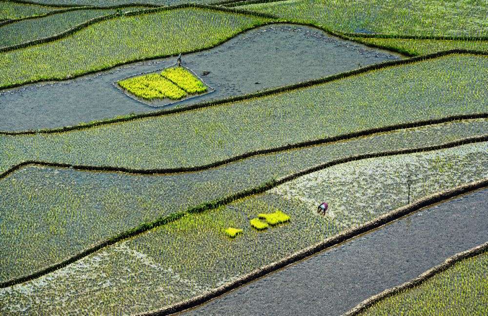 Harte Arbeit von Izidor Gasperlin