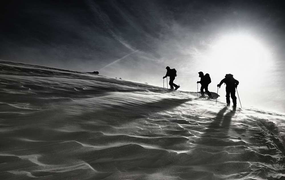 Up von Izidor Gasperlin