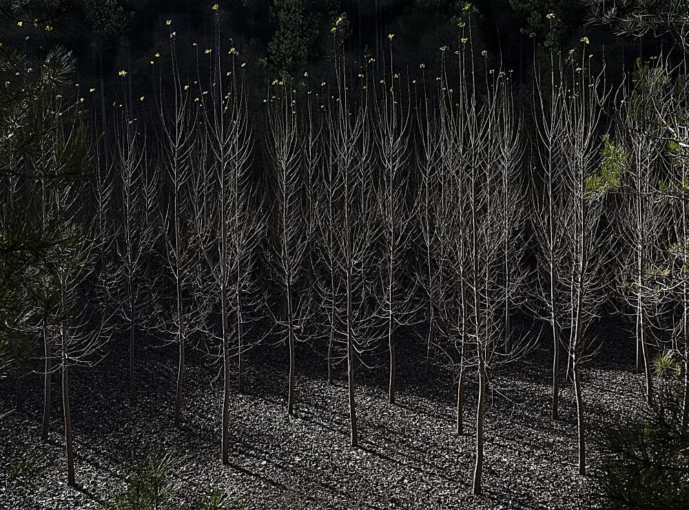 Untitled von JA Ruiz Rivas