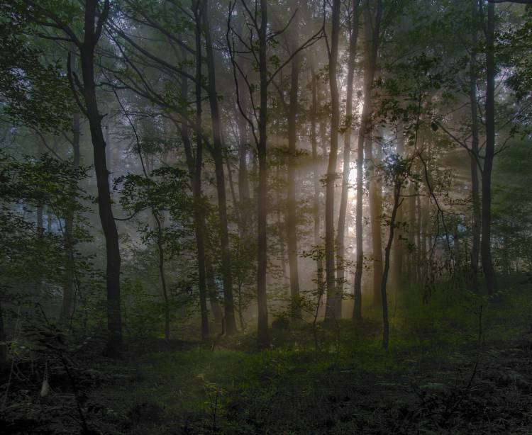 Come in! von Jacek Stefan