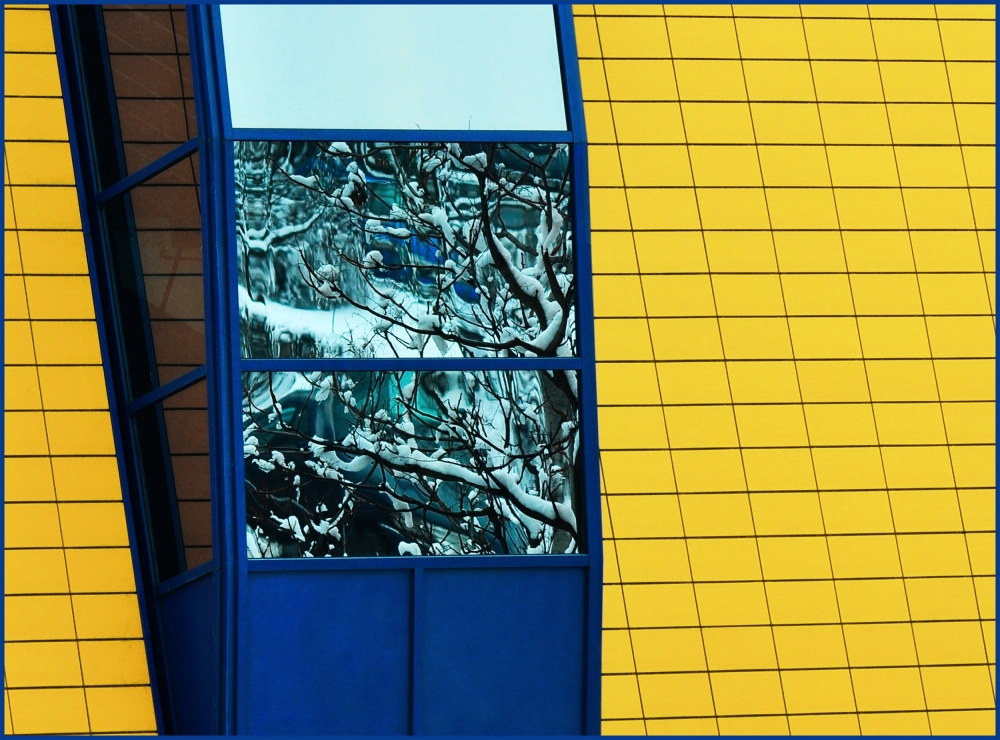 Narnia in my mind von Jacek Stefan