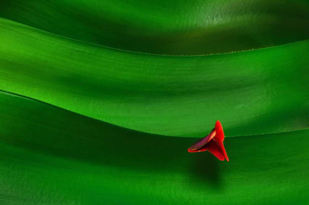 Where is the Sun von Jacek Stefan