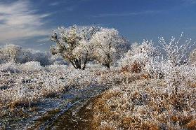 Willkommen in Narnia!