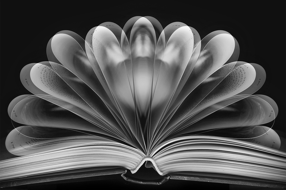 This is my story ... von Jackie Matthews