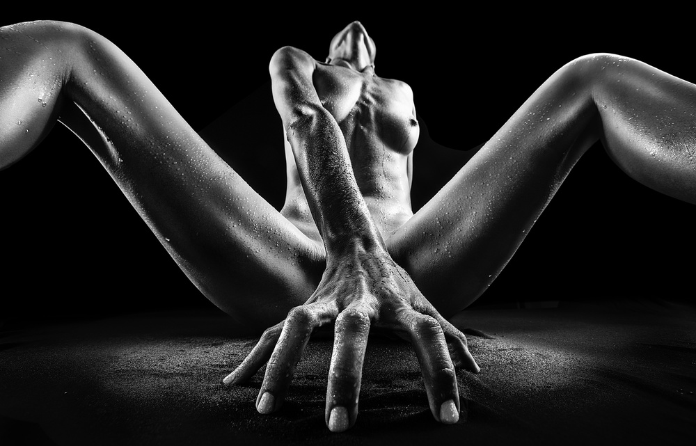 Sculpture von Jackson Carvalho