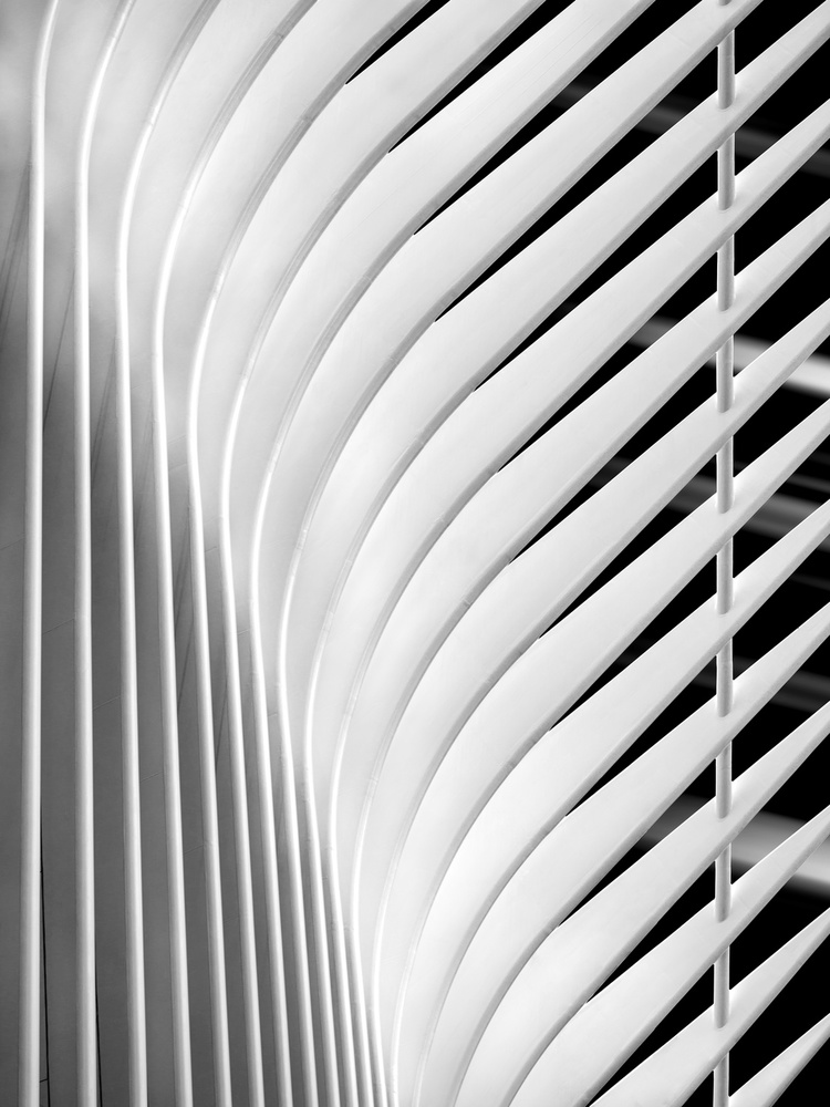 Stripes von Jackson Carvalho