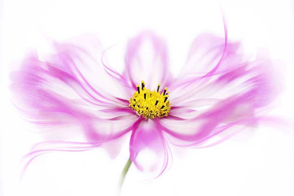 Brise von Jacky Parker