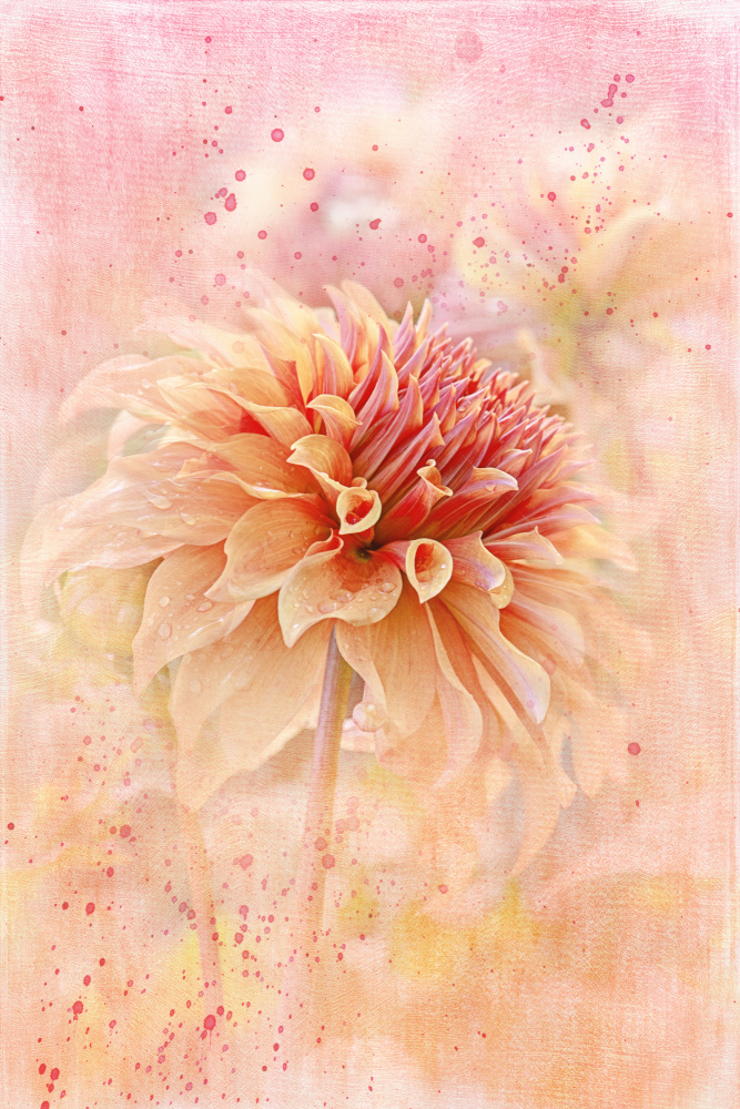 Endless Summer von Jacky Parker