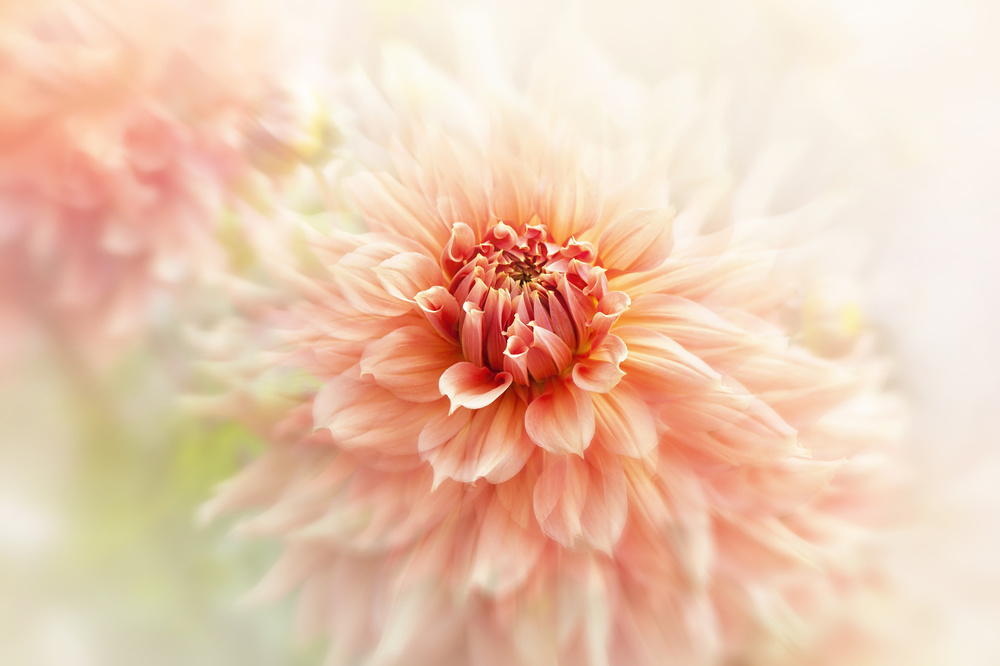 Glow von Jacky Parker