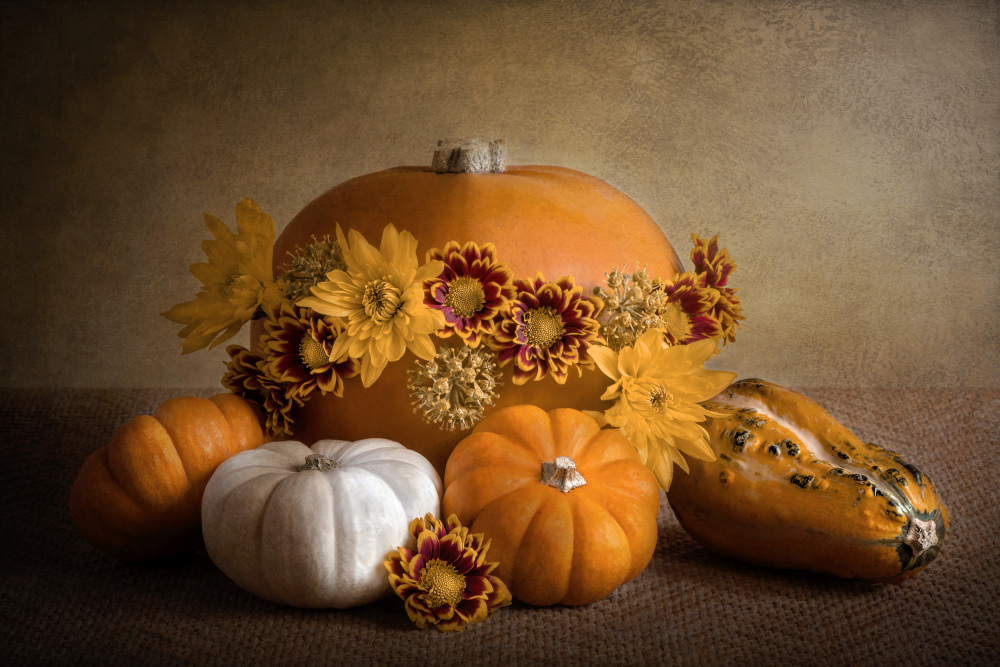 Bountiful von Jacky Parker