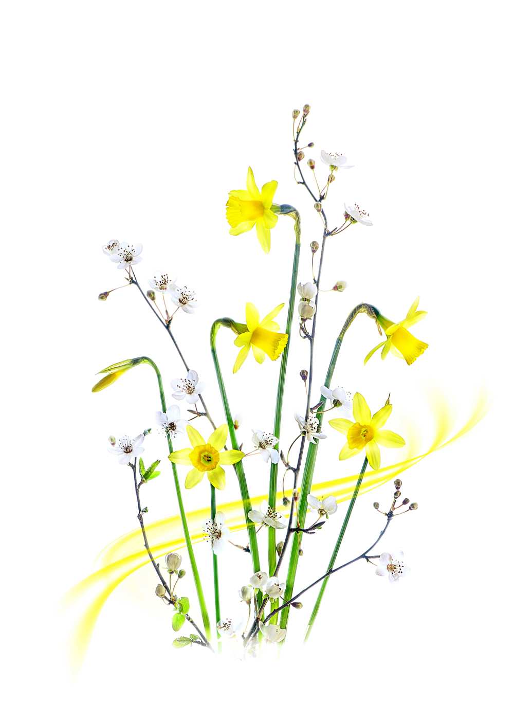 Simply Spring von Jacky Parker