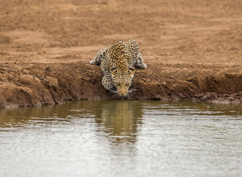 Going down low von Jaco Marx