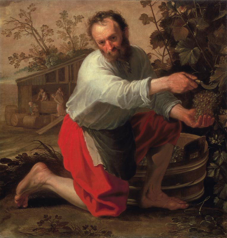 Vine Grower von Jacob Cuyp