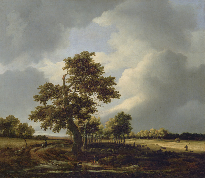 Landscape with Shepherd von Jacob Salomonsz. Ruysdael