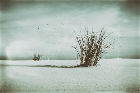 The grass was greener, When friends surrounded