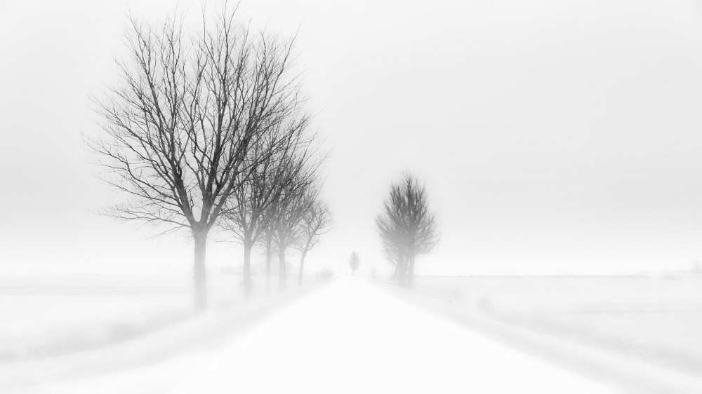 My tiny world von Jacob Tuinenga