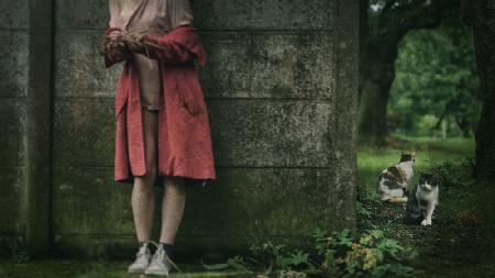 Nothings last forever