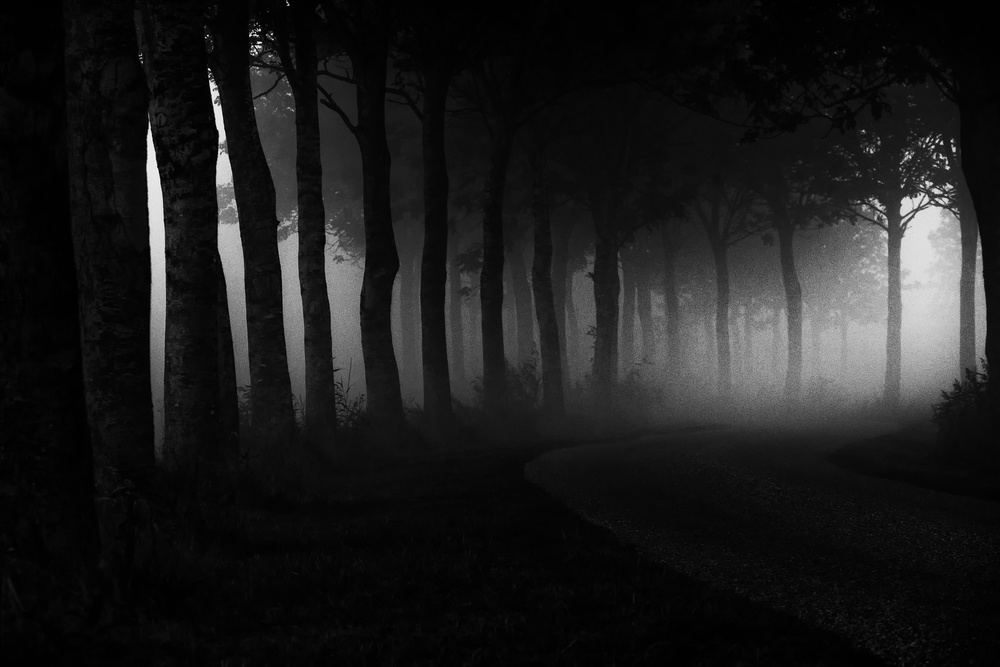 No One Built This Moment von Jacob Tuinenga