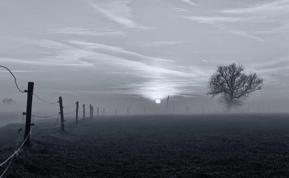 On a misty morning in March von Jacob Tuinenga