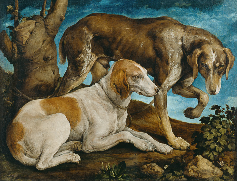 Two Hunting Dogs Tied to a Tree Stump von Jacopo Bassano