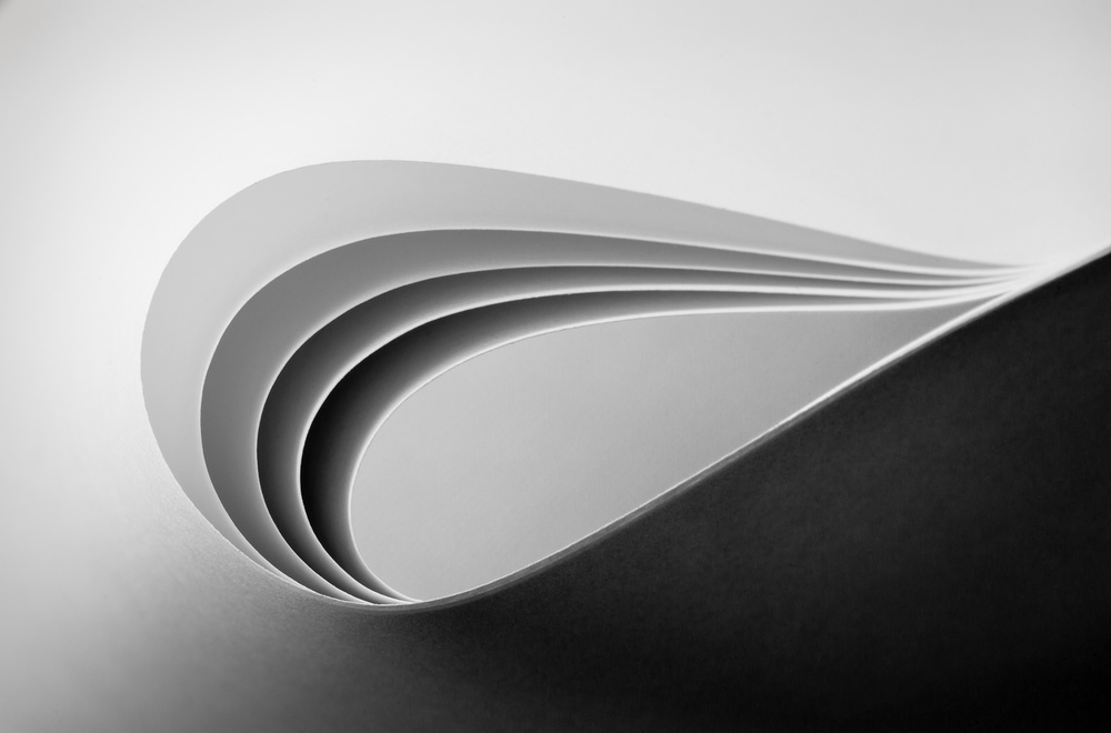 Graceful von Jacqueline Hammer