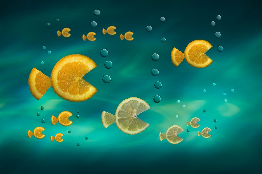 Fischen Sie im Meer von Jacqueline Hammer