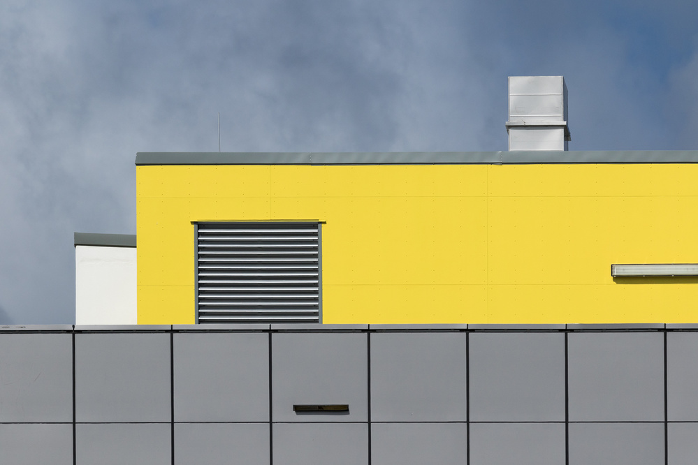 Yellow and Grey von Jacqueline Hammer