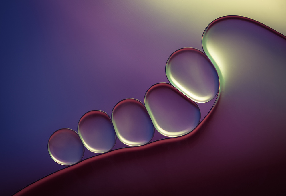 Golden Moonlight von Jacqueline Hammer