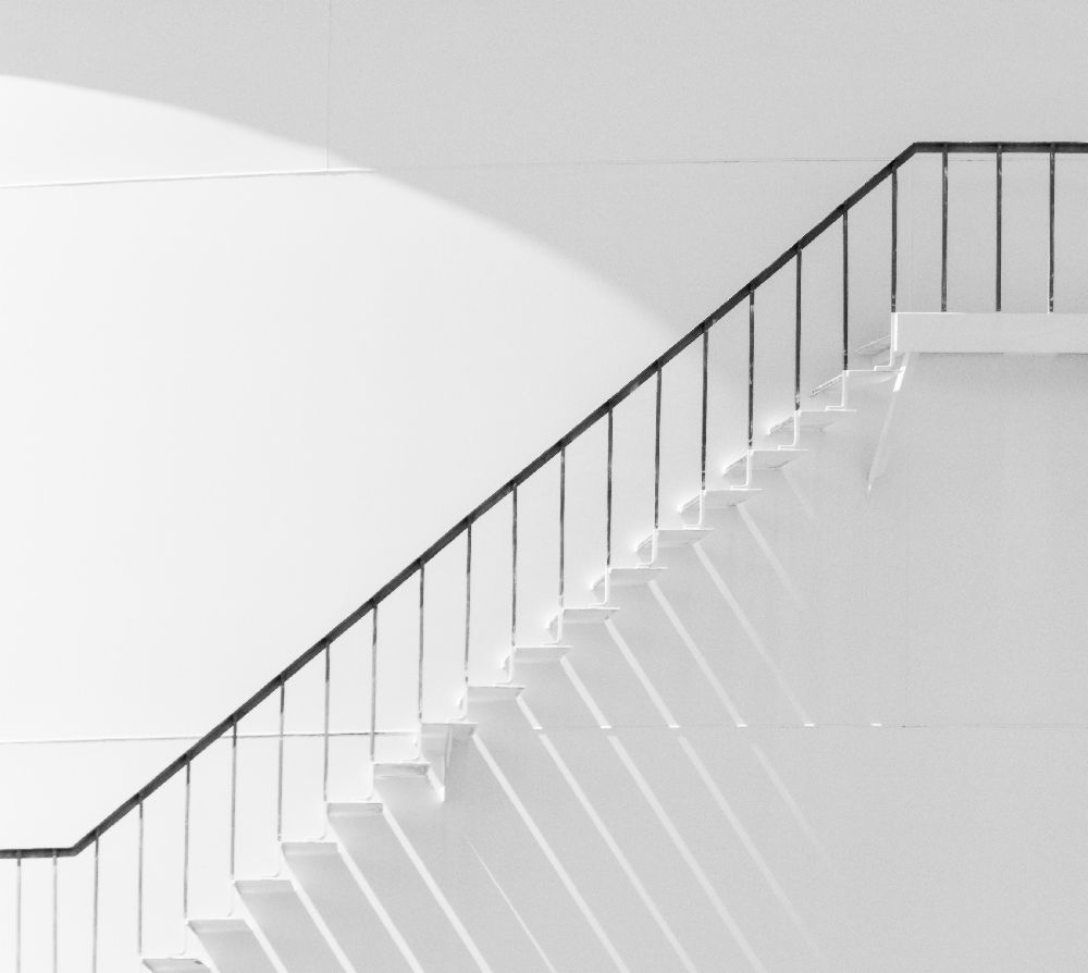 Schatten an der Spitze von Jacqueline Hammer