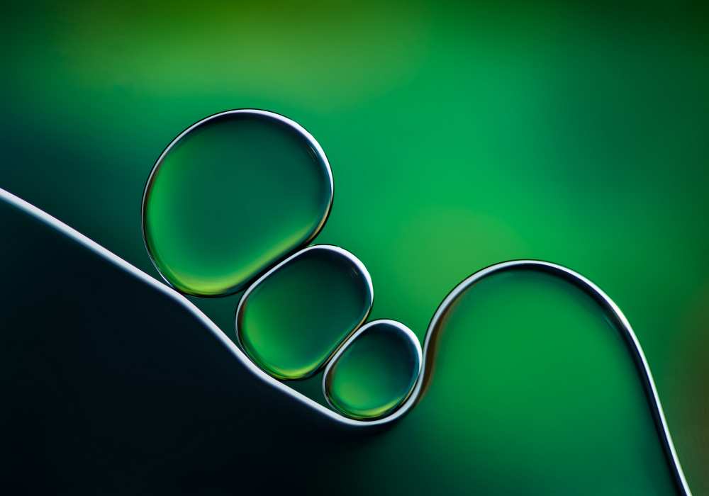 Shifting Shapes von Jacqueline Hammer