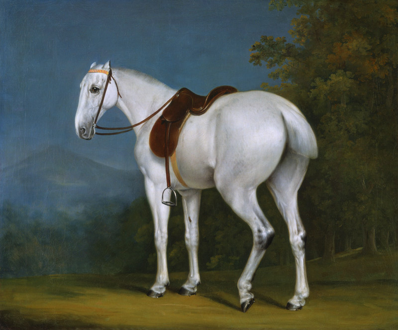 A Lady’s Grey Hunter von Jacques-Laurent Agasse