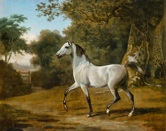 Grauer Arabischer Hengst in einer Waldlandschaft von Jacques-Laurent Agasse