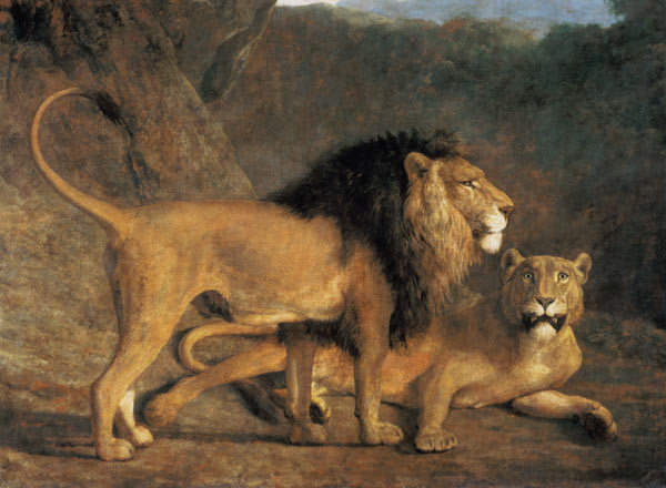 Löwe und Löwin in der Exeter Menagerie von Jacques-Laurent Agasse