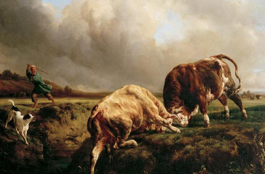 Jacques Raymond Brascassat