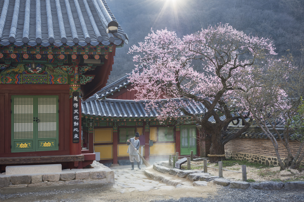 The scent of spring von Jaeyoun Ryu