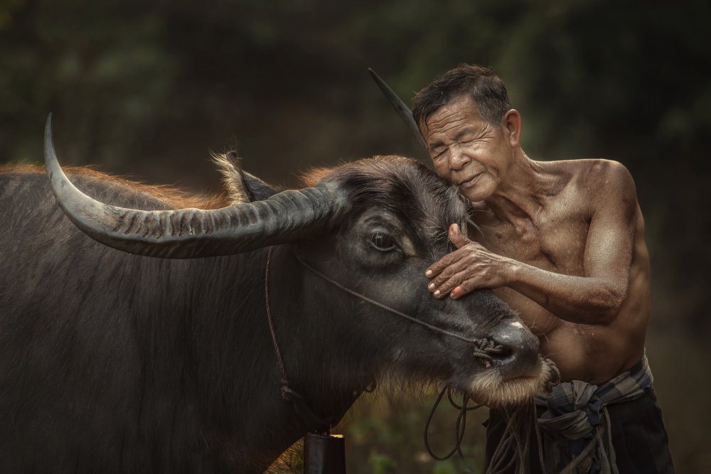 R u ready for work? von Jakkree Thampitakkull