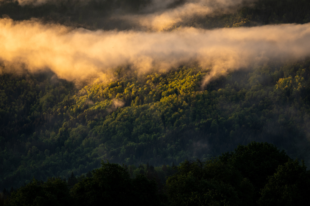 Fog after the storm von Jakob Remar