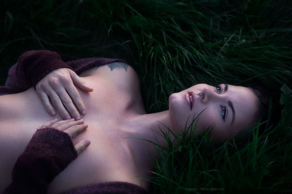 Stargazer von James Allen Stewart