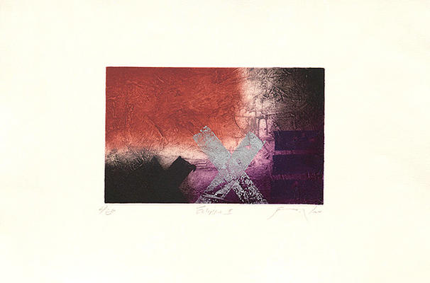 Eclipse II von James Cox