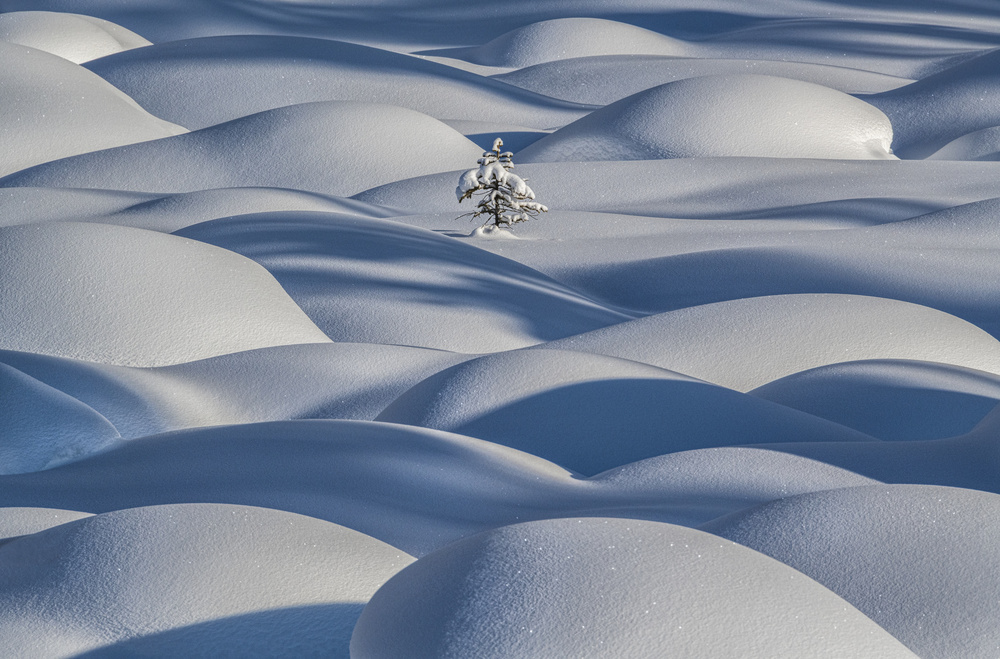 Standing Strong von James S. Chia