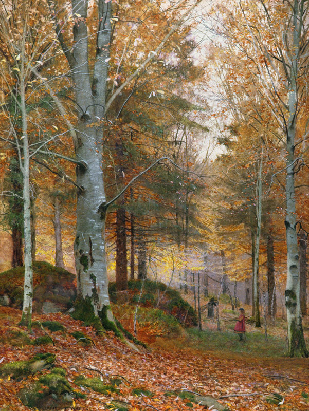 Autumn in the Woods von James Thomas Watts