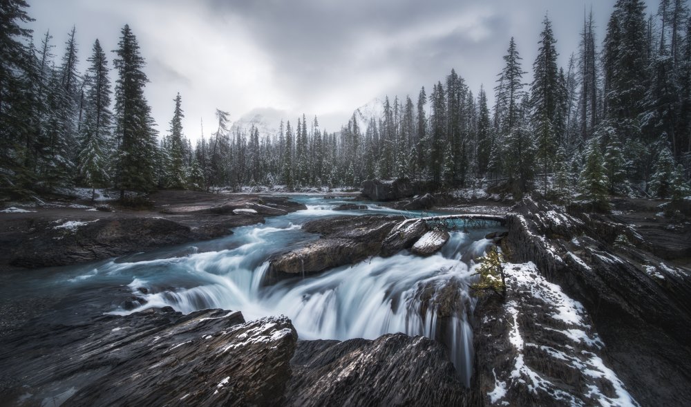 First Snow von James Xiang