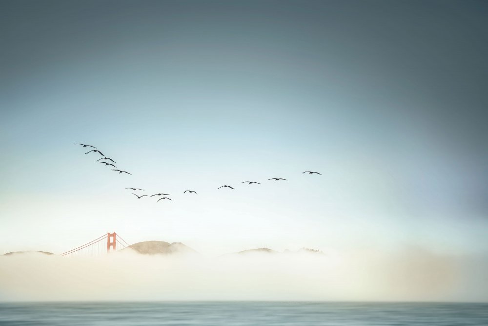 Morning low fog in Golden Gate Bridge von Jamie Z. Chan