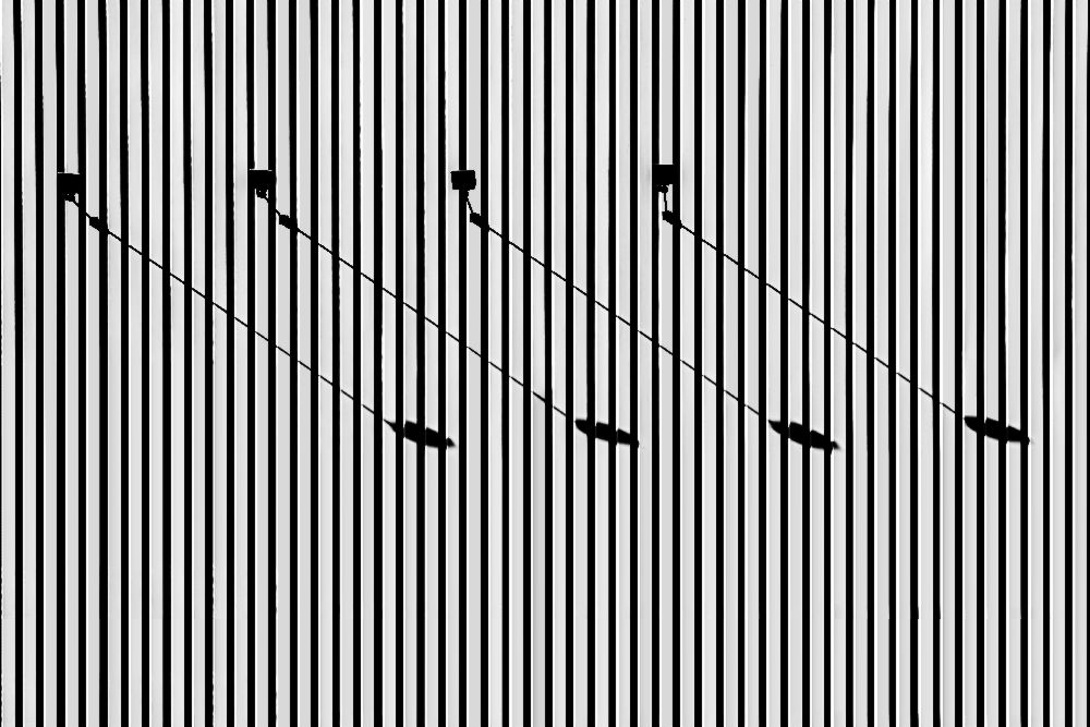 Linien und Schatten von Jan Niezen